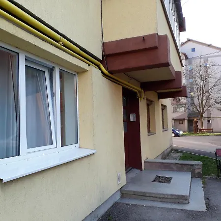 Studio Central Apartment Gura Humorului